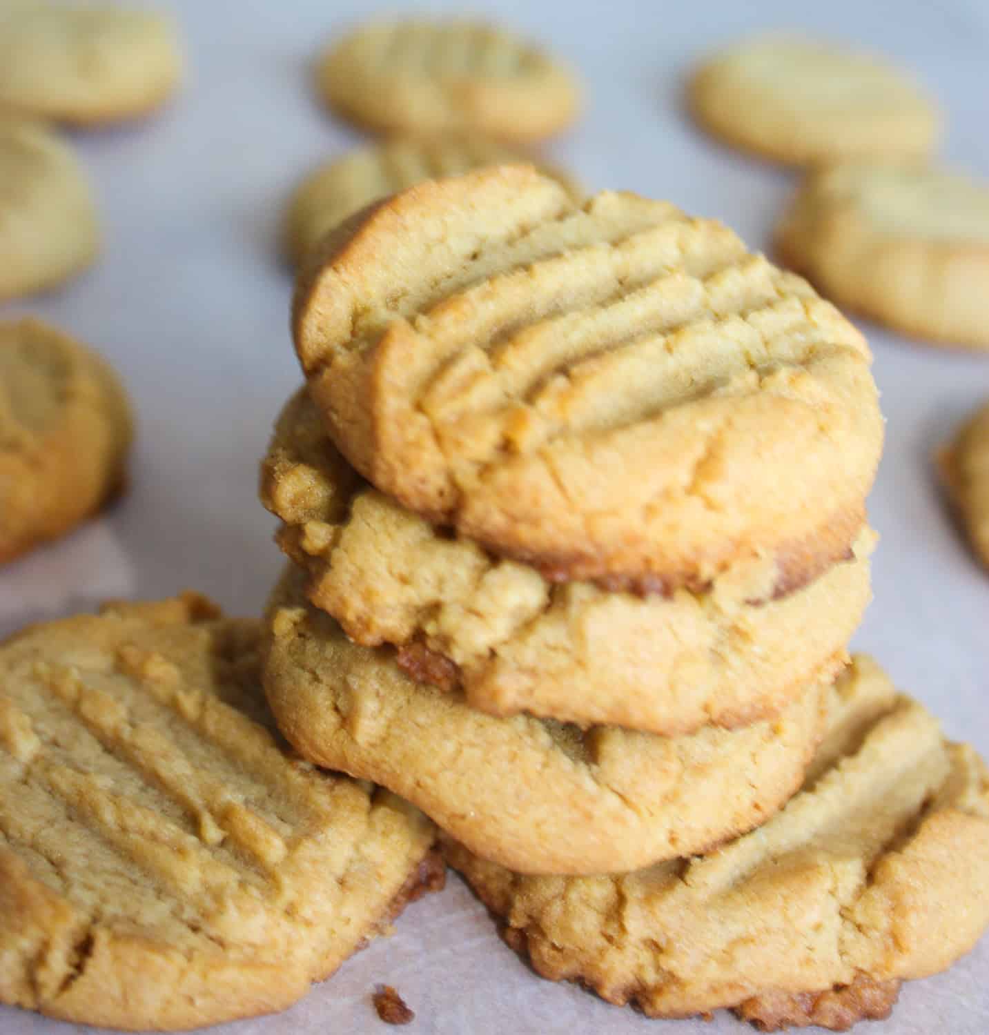 Peanut Butter Cookies are a classic that I really missed when I had to start eating gluten free. <span class="" style="display:block;clear:both;height: 0px;padding-top: 25px;border-top-width:0px;border-bottom-width:0px;"></span>  This gluten free version really hits the spot and satisfies that peanut butter cookie craving!