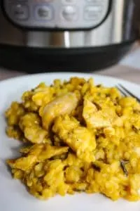 This Instant Pot Carrot Ginger Chicken with Rice is a mildly spiced dinner that the whole family can enjoy.