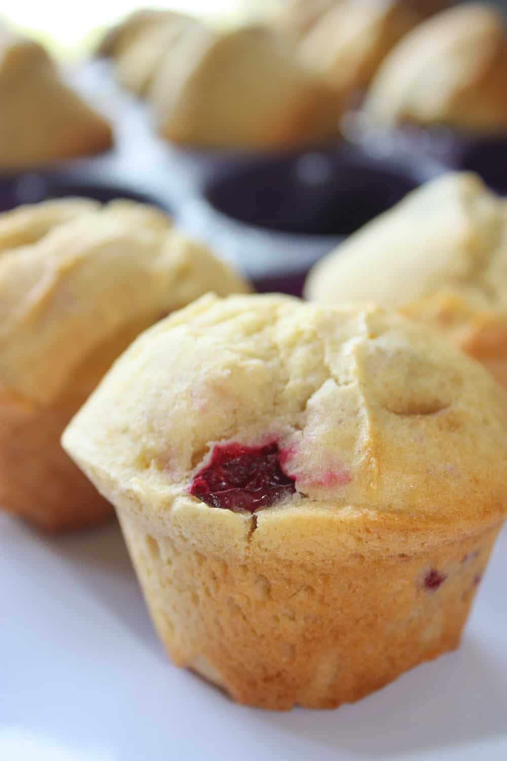 Lemon and cranberry are a winning combination and these muffins do not disappoint!  Eat them warm right out of the oven or save them for later.  These lemon cranberry muffins are a great snack any time.