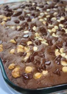 Chocolate Zucchini Cake combines a fall squash and fall spices.  The fall spices create a unique flavour combination for this seasonal chocolate cake.