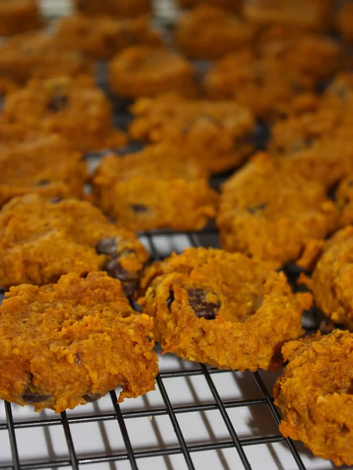 As fall rains turn to snow I am just about done with pumpkin recipes.  These Pumpkin Cookies include the flavours of fall without overdoing the sweetness.