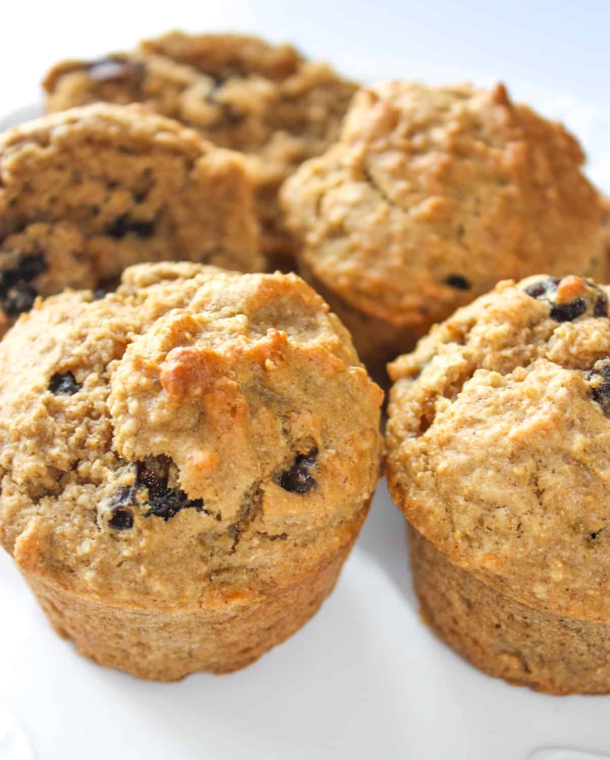 Raisin Oat Bran Muffins are a tasty way to add fibre to your diet. Finding gluten free oat bran means bran muffins are back even for the gluten intolerant!