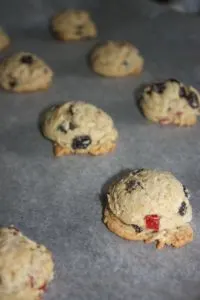 These Festive Fruit Cookies are tasty little bites that will be a great gluten free addition to your Holiday dessert tray.