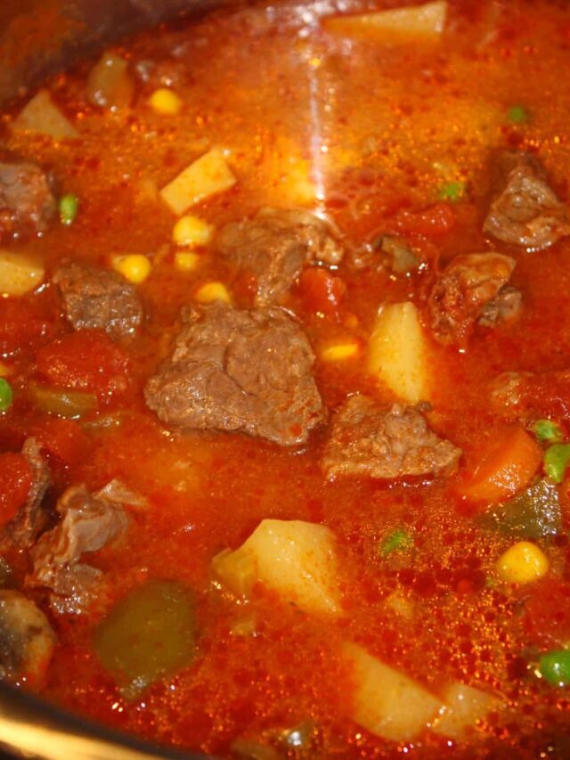 Instant Pot Beef Stew Recipe