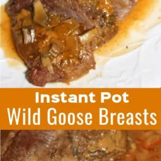 Instant Pot Wild Goose Breast is an easy pressure cooker dinner recipe perfect for weeknights. These goose breasts are cooked in a sauce with mushrooms and onions.
