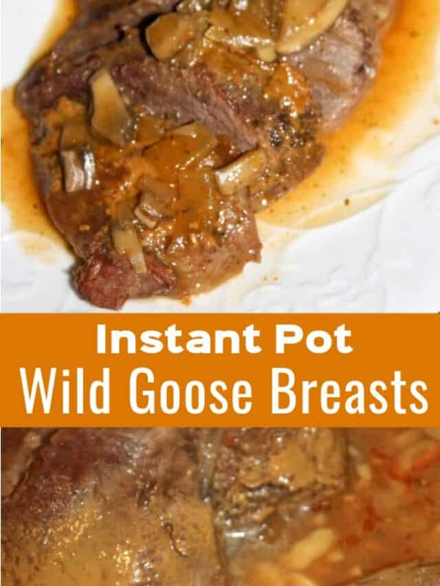 Instant Pot Wild Goose Breast