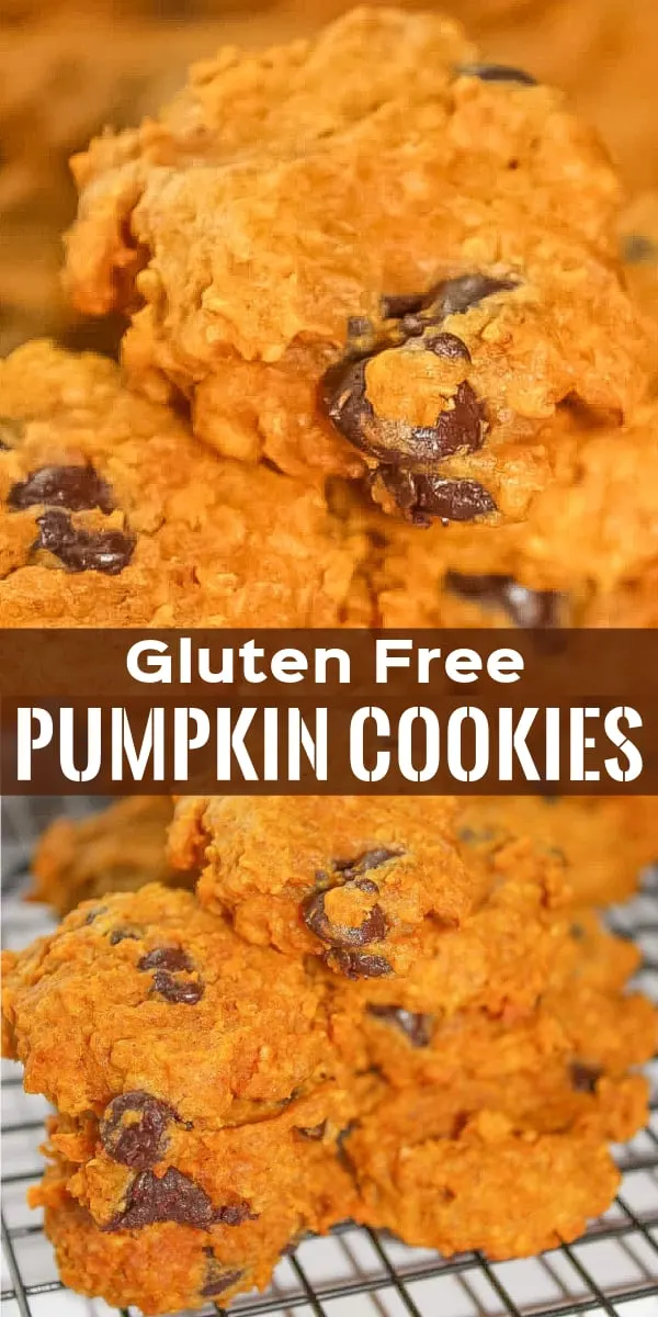 Gluten Free Pumpkin Cookies are a delicious fall dessert recipe made with pumpkin puree and quick oats and loaded with chocolate chips.