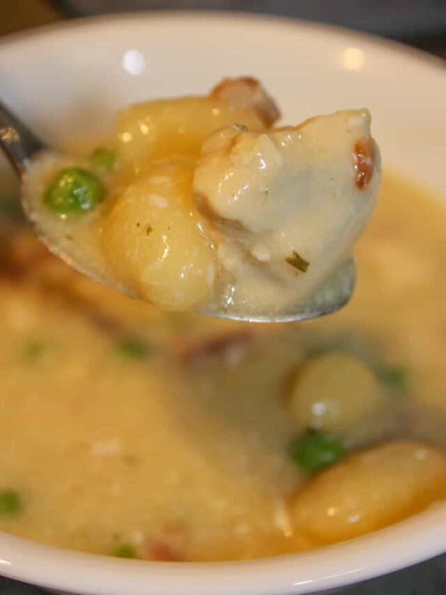 Instant Pot Cheesy Chicken Gnocchi Soup Recipe – Gluten Free