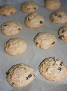 Jumbo Raisin Cookies are loaded with flavour and raisins.  This soft gluten free cookie, with hints of cinnamon and cloves, is a great snack on a cool day paired with hot chocolate or your favourite tea blend.