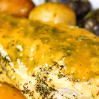 Instant Pot Honey Mustard Chicken is a winner with juicy chicken breasts smothered in a sweet honey mustard sauce.