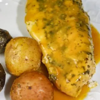Instant Pot Honey Mustard Chicken is a winner with juicy chicken breasts smothered in a sweet honey mustard sauce.