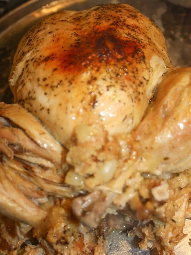 Instant Pot Whole Chicken Dinner Recipe