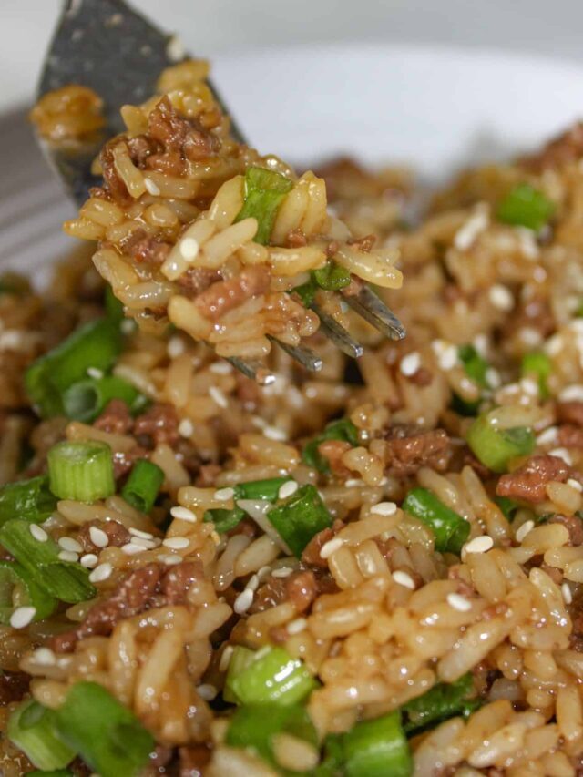 Instant Pot Korean Beef and Rice