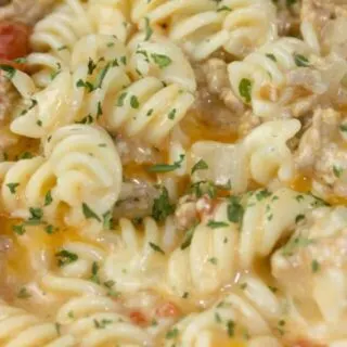 Instant Pot Cheesy Pasta and Turkey is an easy and delicious one pot pasta dish smothered in a creamy cheese sauce. 