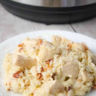 cropped-instantpotbaconparmesanchickenandrice-14-of-16-min.jpg