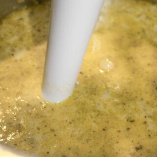 Using the immersion blender.