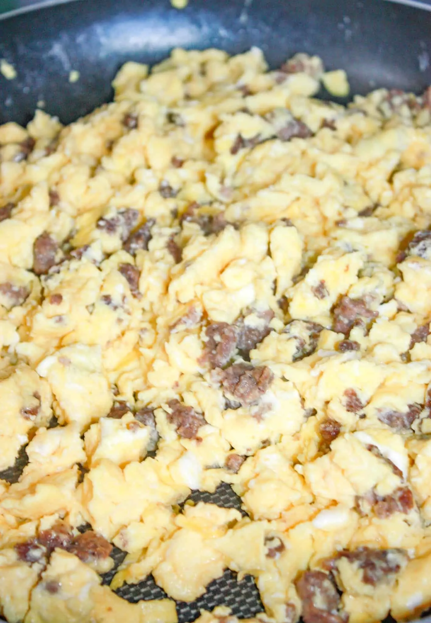 The venison and scrambled eggs.