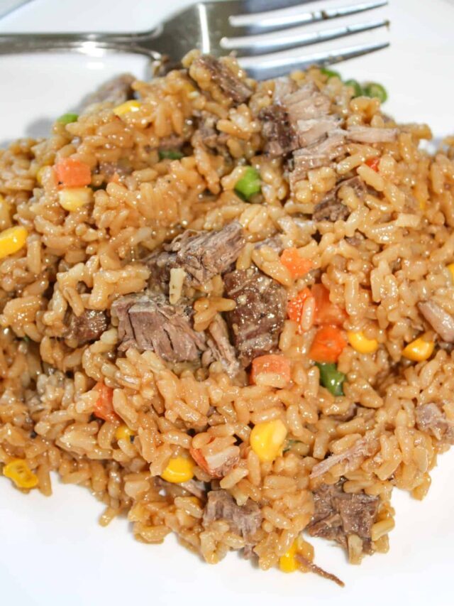 Instant Pot Beef and Rice