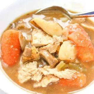 cropped-Instant-Pot-Wild-Turkey-Stew-06-min.jpg
