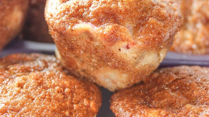 Gluten Free Rhubarb Muffins with Cinnamon Sugar Topping - Allergy Free  Alaska