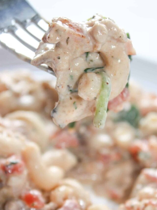 Stove Top Chicken Casserole Recipe – Gluten Free
