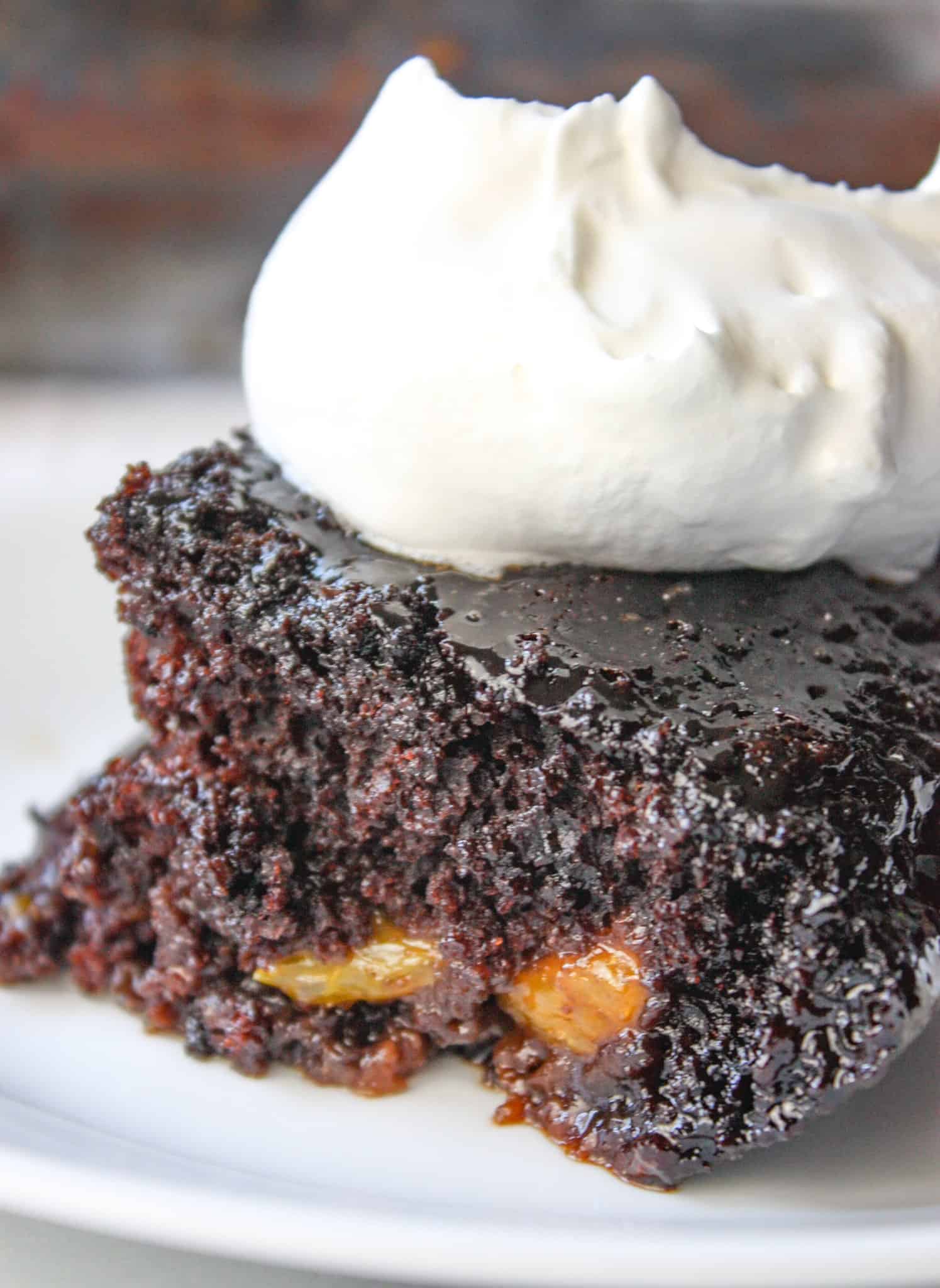 Chocolate Mandarin Cake is a subtle blend of citrus and decadence!  This gluten free cake is a great dessert to serve any time of the year.