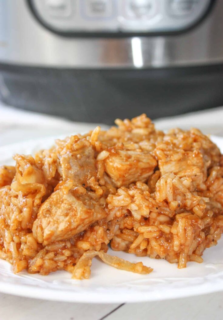 Instant Pot BBQ Pork and Rice is an easy one pot meal loaded with pulled pork flavour.  This quick pressure cooker recipe would be great choice for a busy week night meal.