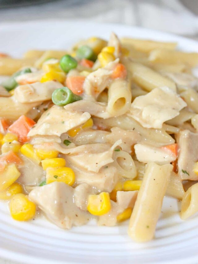 How To Make Creamy Stove Top Chicken and Pasta- Gluten Free