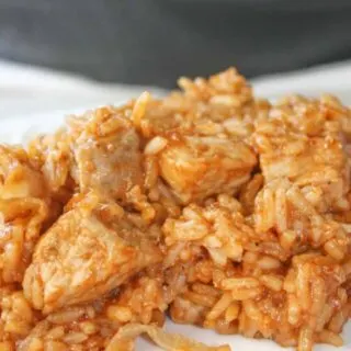 Instant Pot BBQ Pork and Rice is an easy one pot meal loaded with pulled pork flavour.  This quick pressure cooker recipe would be great choice for a busy week night meal.