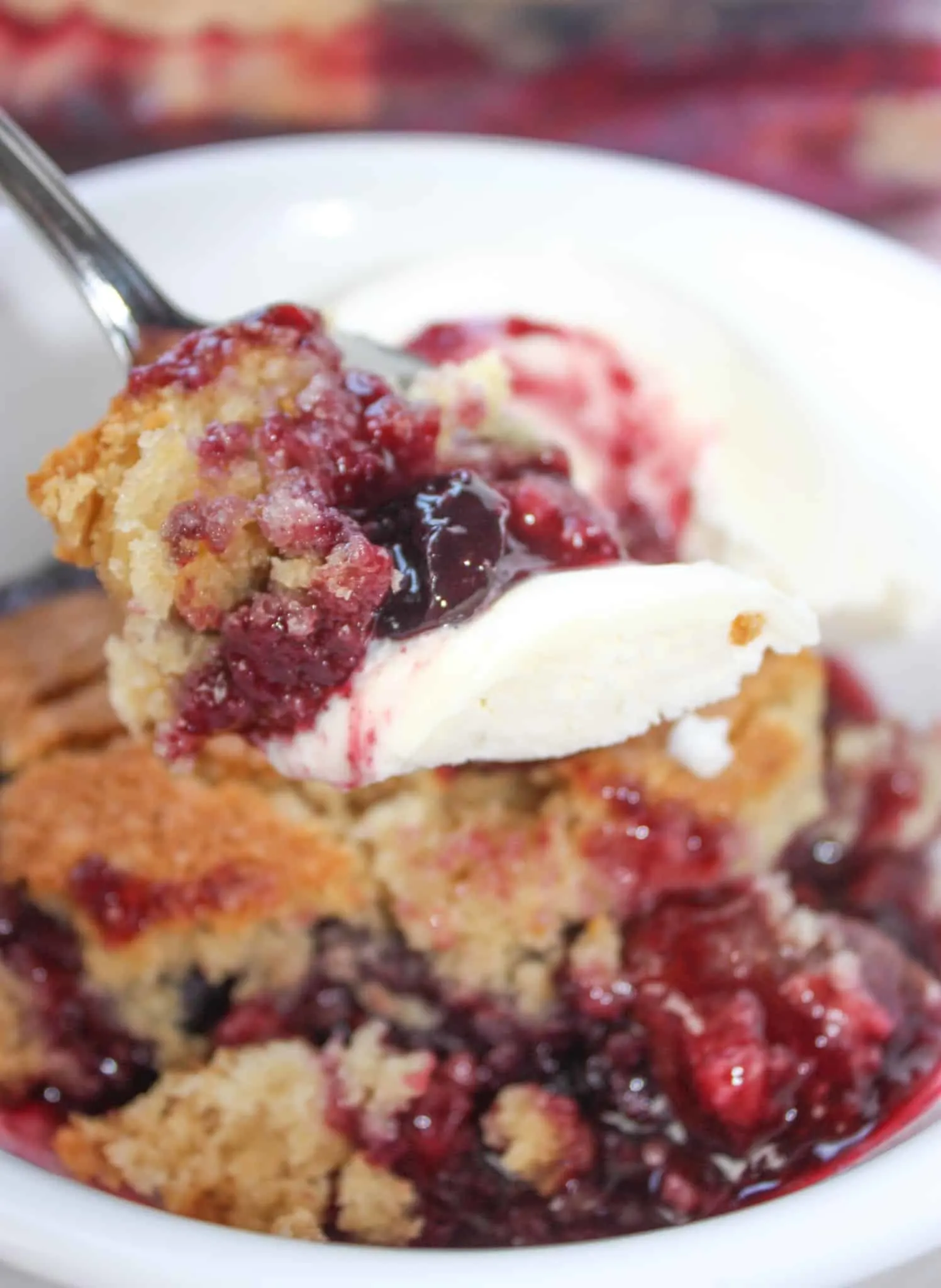 Jumbleberry Pudding is a delicious blend of seasonal fruits crowned with a cake like topping.  This gluten free pudding cake uses frozen berries and can be a fruity finish to a meal any time of the year.