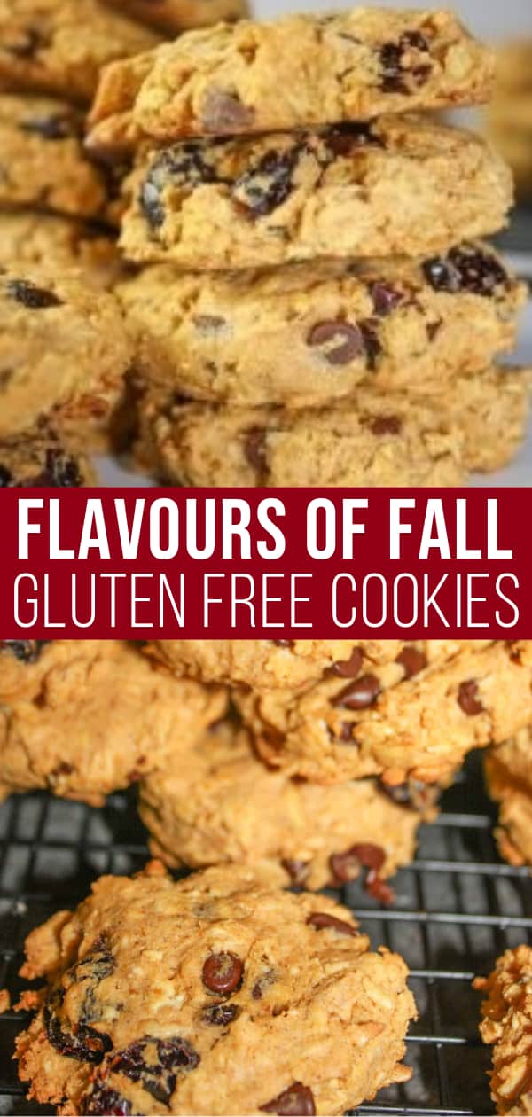 Flavours of Fall Cookies are loaded with seasonal ingredients.  This gluten free cookie recipe is bursting with the tastes of pumpkin, cranberries, oatmeal and spices that bring to mind cooler weather days!
