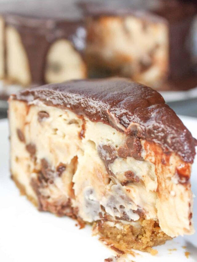 Instant Pot Peanut Butter Chocolate Cheesecake Recipe