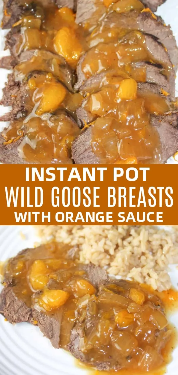 Savoury orange sauce, loaded with flavour and mandarin orange pieces, tops off these Instant Pot Wild Goose Breasts.