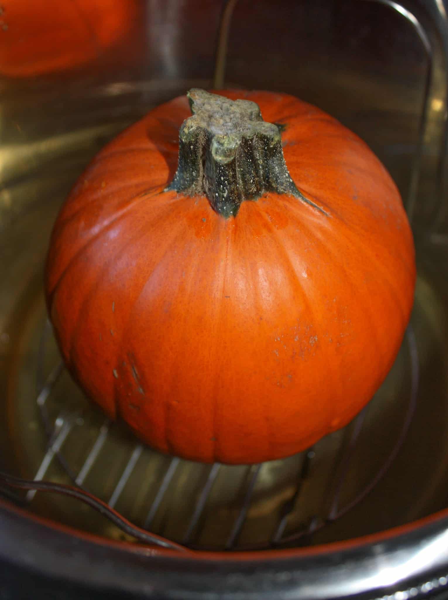 Putting the pie pumpkin in the Instant Pot.