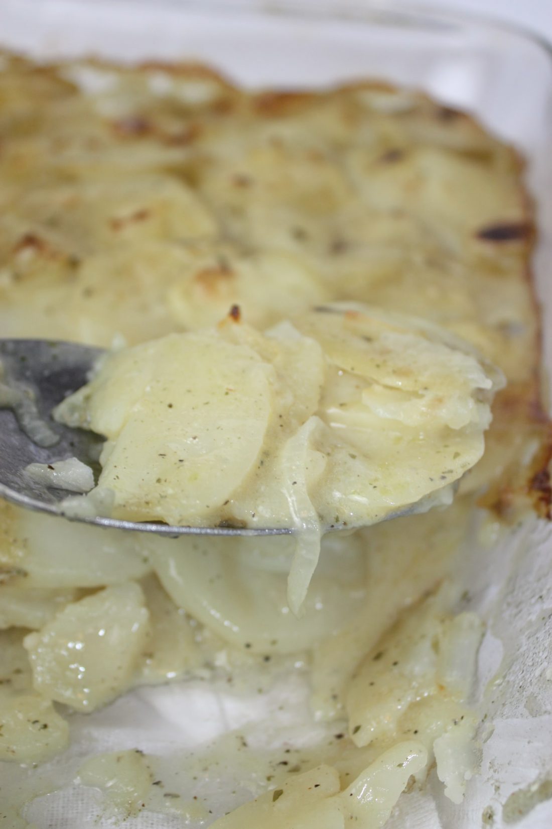 Scalloped Potatoes Dairy Free, Gluten Free Kiss Gluten Goodbye