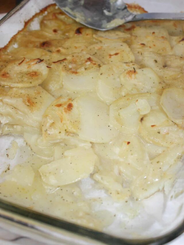 Scalloped Potatoes Recipe – Dairy Free, Gluten Free