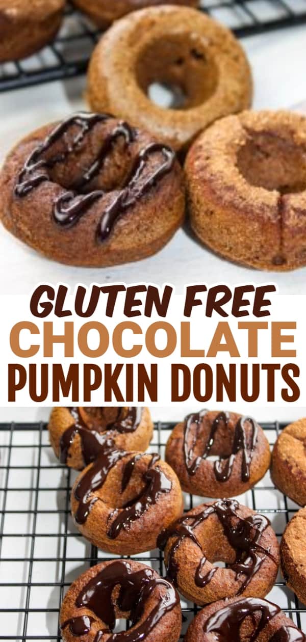 Chocolate Pumpkin Donuts are mini bites of gluten free deliciousness!  These little morsels can be eaten for breakfast, a snack or as a dessert.