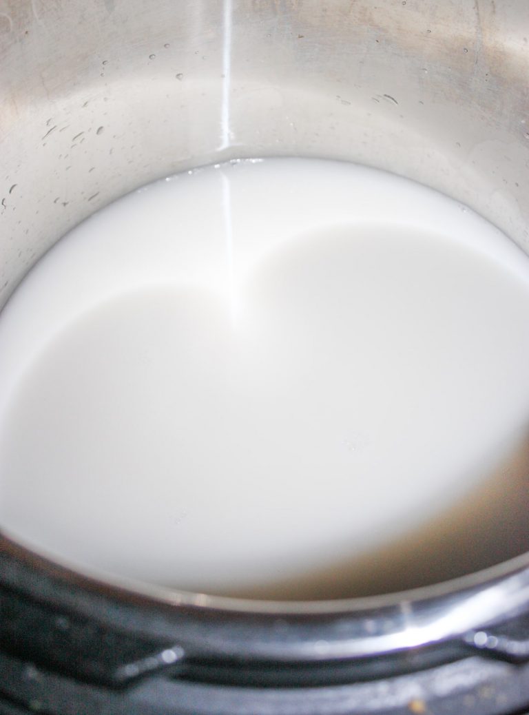 Instant Pot Arborio Rice Pudding Dairy Free Kiss Gluten Goodbye