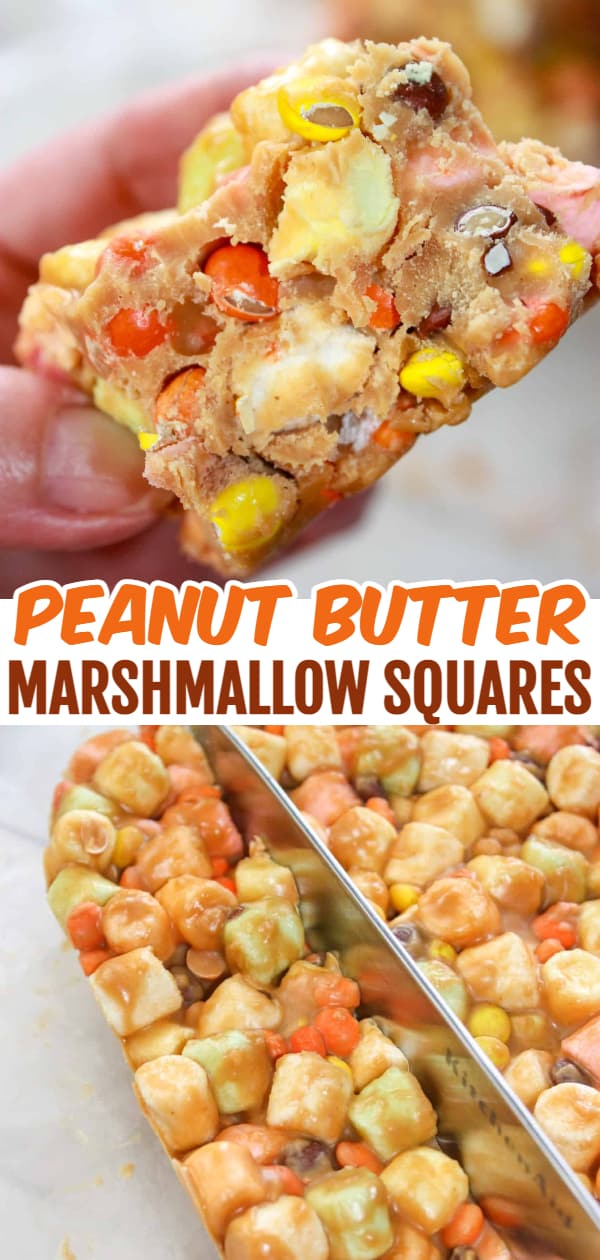 Peanut Butter Marshmallow Squares are a tasty, no bake dessert recipe that is a popular choice for all ages and occasions. This gluten free version of the traditional confetti squares is loaded with colourful marshmallows and mini Reese's Pieces.