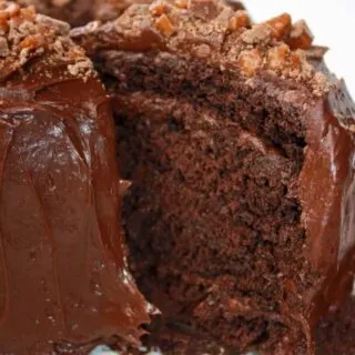 Gluten Free Chocolate Layer Cake is a delicious dessert that is easy to make.  This moist and light layer cake can easily be decorated to suit any occasion. 