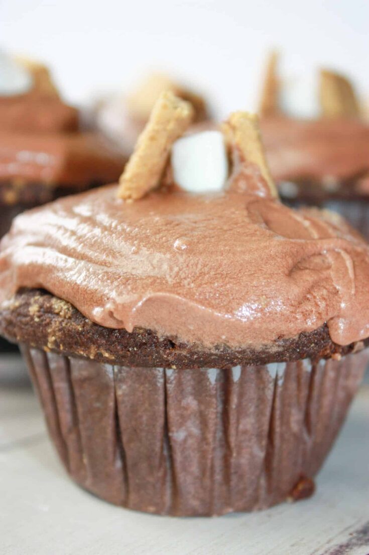 S'mores Cupcakes are a delightful dessert treat that will be enjoyed by young and old alike.  These gluten free cupcakes will bring back memories of campfire gatherings any time of the year.