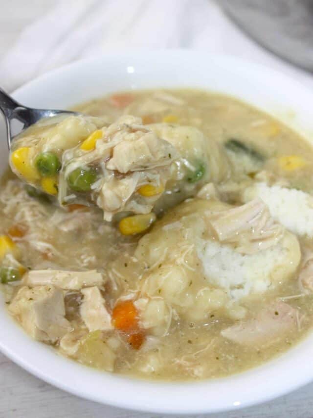 Stove Top Chicken and Dumplings –  Gluten Free