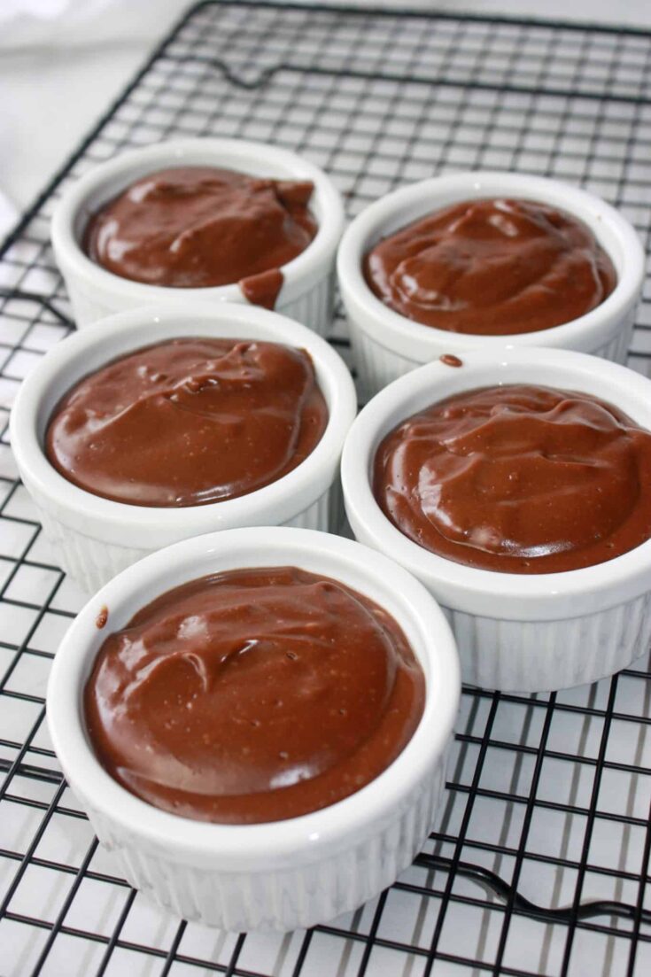 Dairy Free Chocolate Pudding is a creamy, chocolatey, dessert recipe that really hits the spot for those that have to avoid dairy.