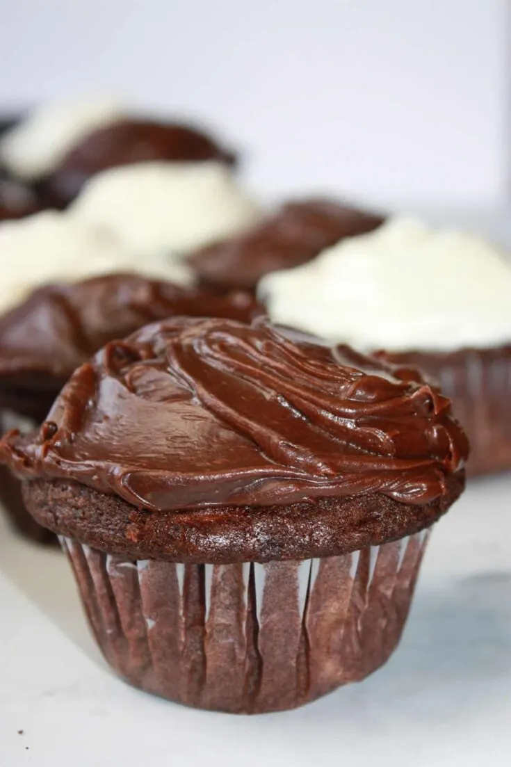 Chocolate Zucchini Cupcakes are a nice, light dessert option that incorporates another fruit that we treat as a vegetable.