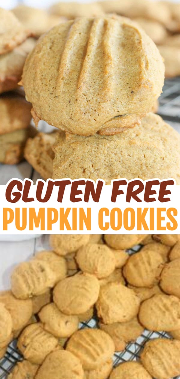 Gluten Free Pumpkin Cookies are the perfect snack to get that burst of pumpkin spice flavour.