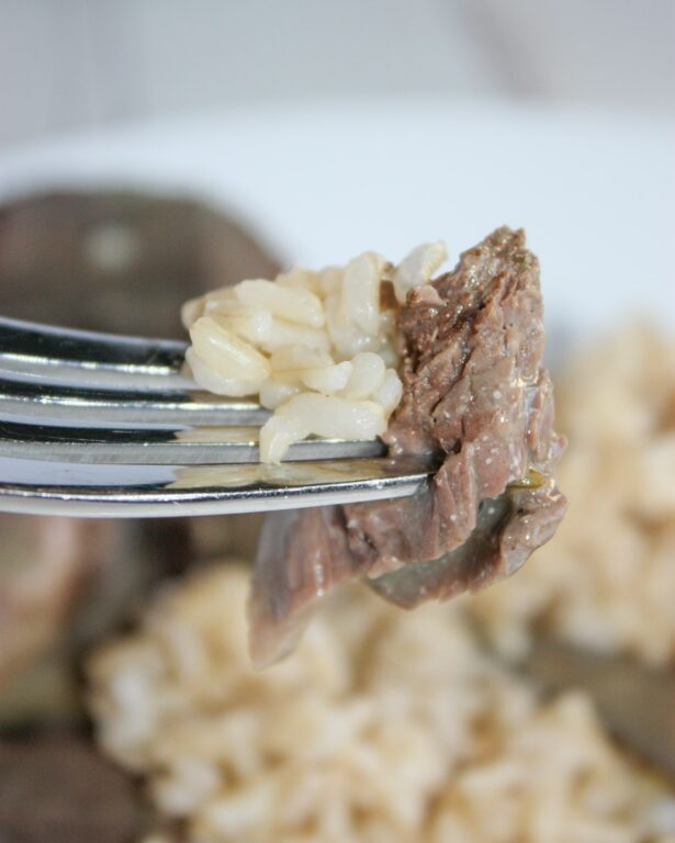 Instant Pot Wild Goose Breasts with Cream Sauce and Brown Rice Kiss