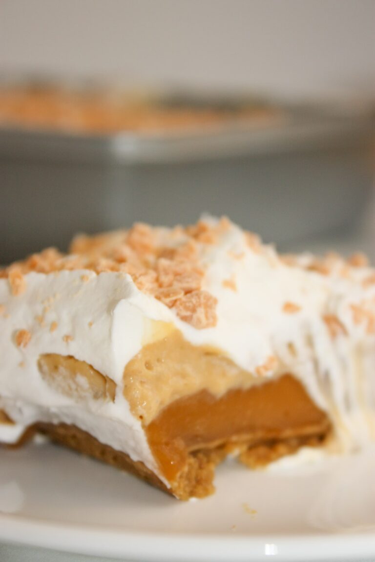 If you are looking for a nice, light treat to serve after a meal, this Layered Butterscotch Pudding Dessert is the perfect choice.