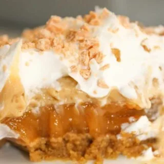 If you are looking for a nice, light treat to serve after a meal, this Layered Butterscotch Pudding Dessert is the perfect choice.