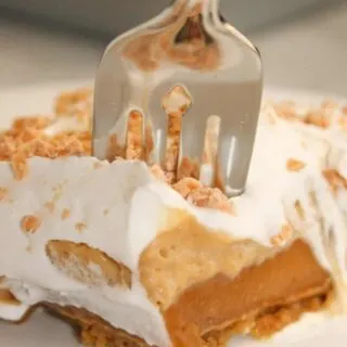 If you are looking for a nice, light treat to serve after a meal, this Layered Butterscotch Pudding Dessert is the perfect choice.