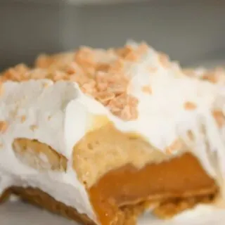 If you are looking for a nice, light treat to serve after a meal, this Layered Butterscotch Pudding Dessert is the perfect choice.